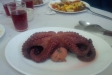 Pulpo