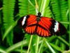 Mariposario