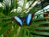 Mariposario